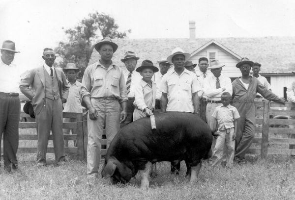 farming grants for african americans