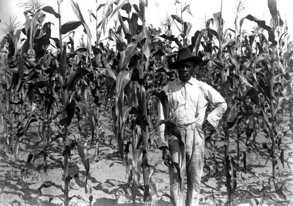 grants for african american farmers
