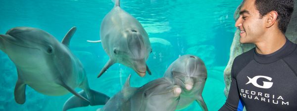 atlanta aquarium tickets online