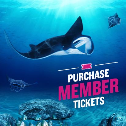 georgia aquarium general admission tickets