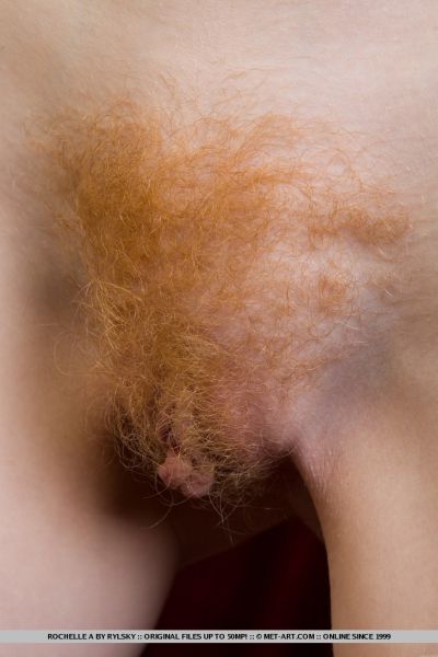 big hairy bush fif