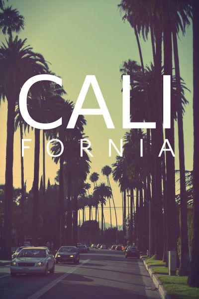 california bear tumblr