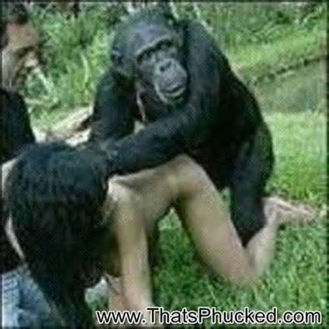 girl fucks chimpanzee