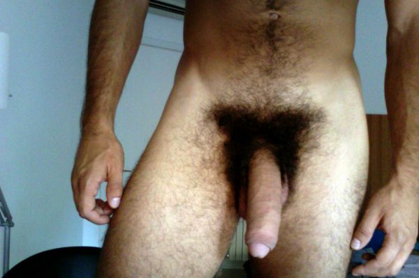 penis with thick dark bushy pubes