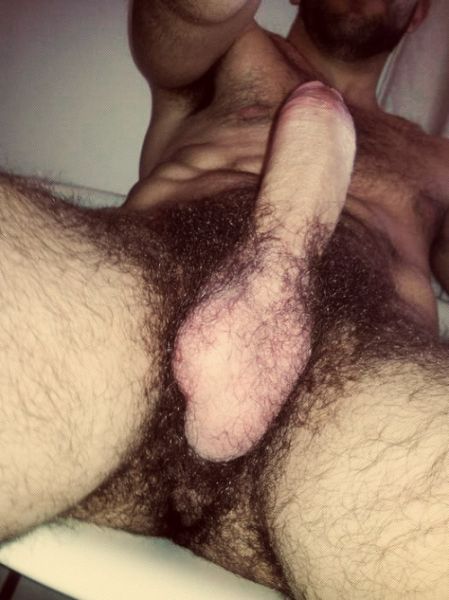 hairy dick