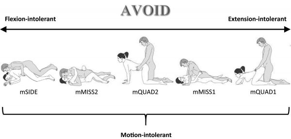 rear entry sex positions