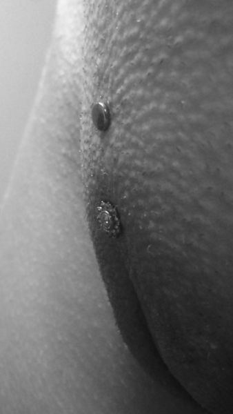 penile piercing