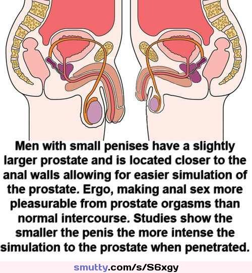 nurse prostate milking captions