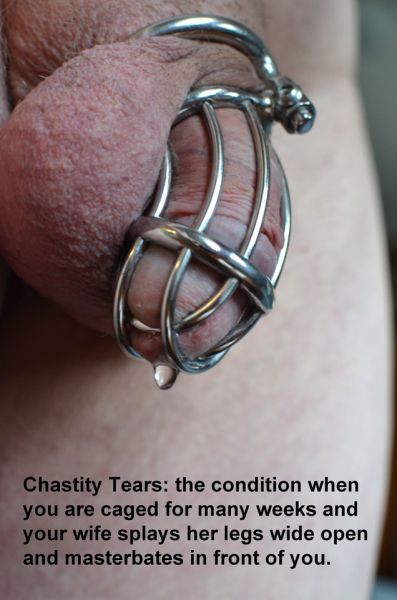 shemales in permanent chastity tumblr