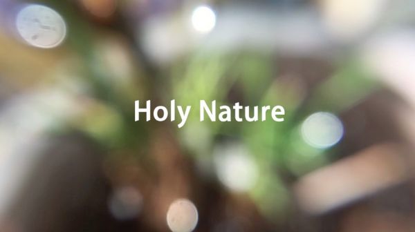 allah holy nature
