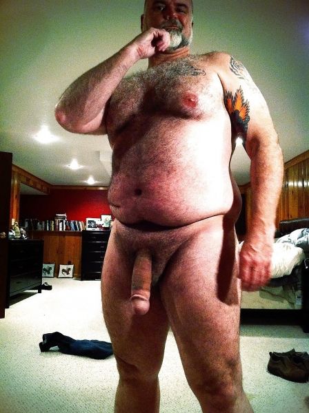 chubby bear cock