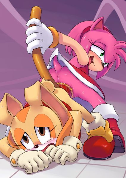 amy and rouge sonic hentai