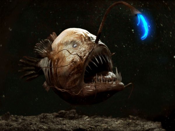 horrible deep sea creatures