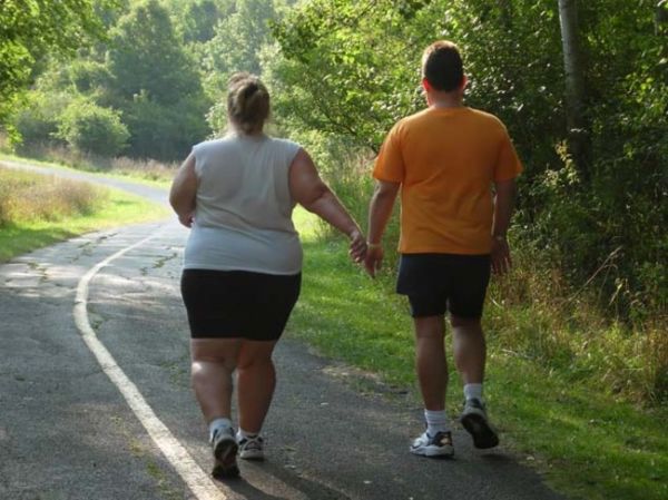 fat people exercising their cats