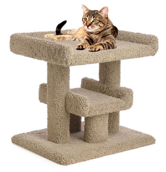 extra large cat tree