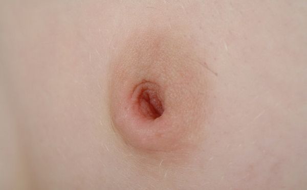 extreme nipple shields