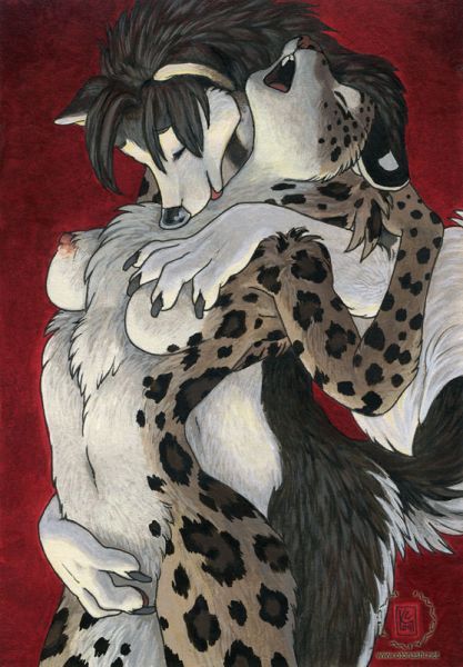 furry anime cheetah