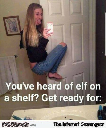 meme generator the elf on shelf