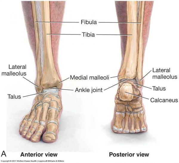 lateral foot pain