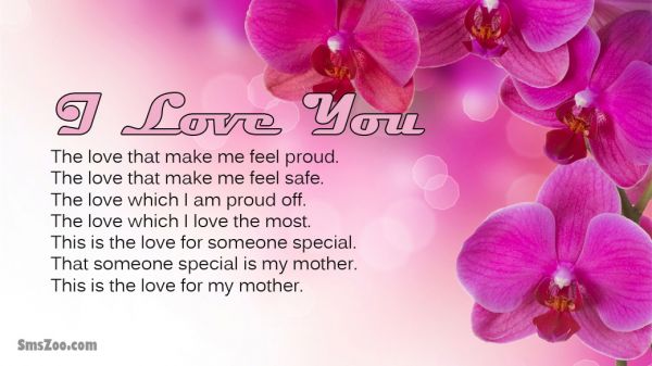 i love you mother poems