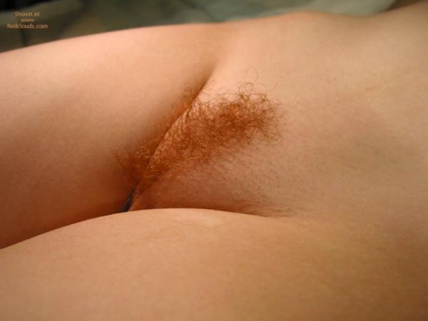 vintage red pubic hair