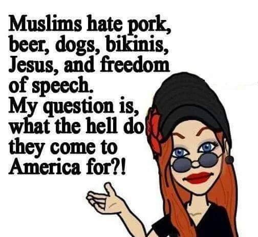 anti muslim cartoons