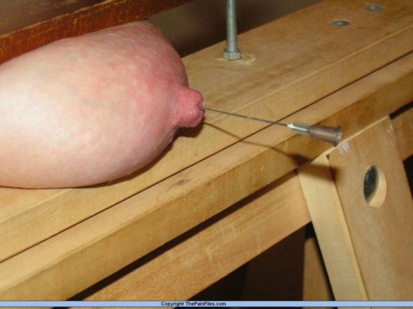 nipple clips