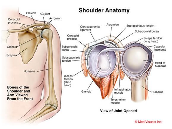 acromioclavicular joint pain