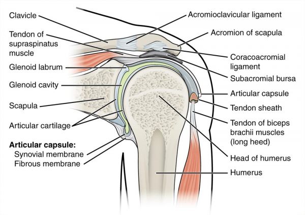 shoulder joint injection