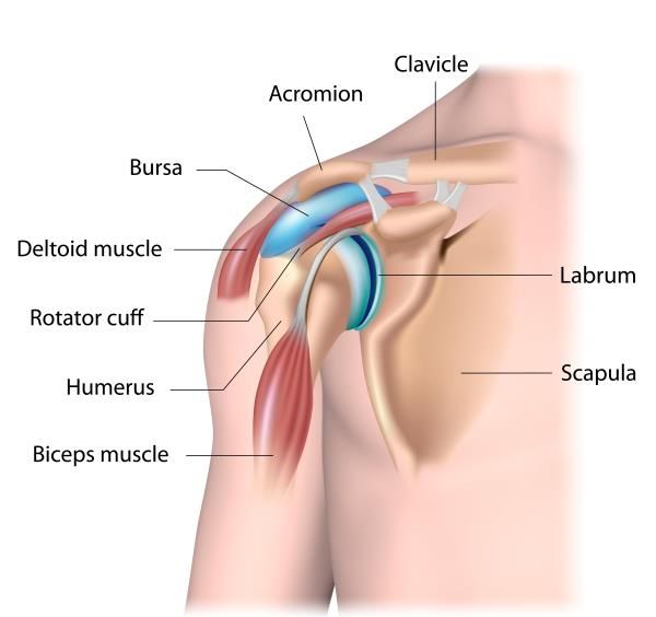 shoulder pain when lifting arm