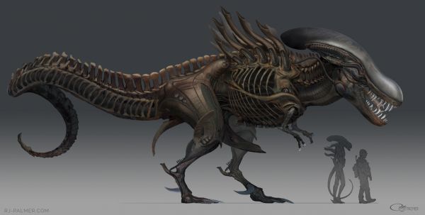 xenomorph wallpaper