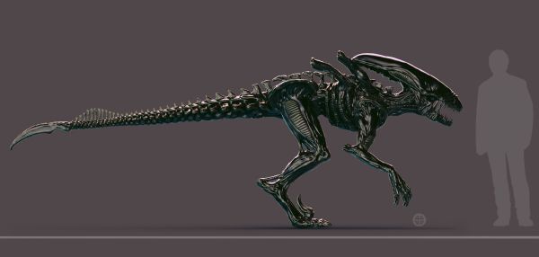 xenomorph skull