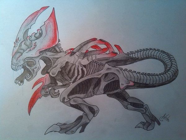 xenomorph cat