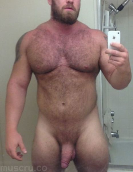 muscle bull bears tumblr