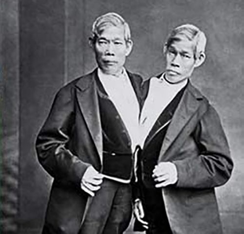 conjoined twins get fucked