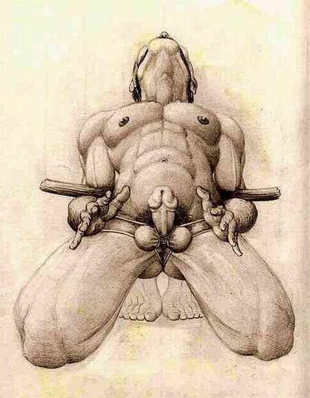 bdsm male torture drawings