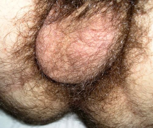 hairy penis tumblr