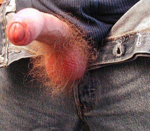 tumblr hairy uncut truckers