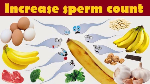 foods that increase sperm