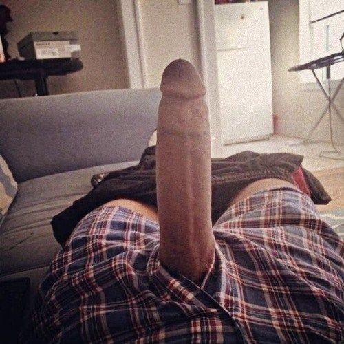 black cock bulge tumblr