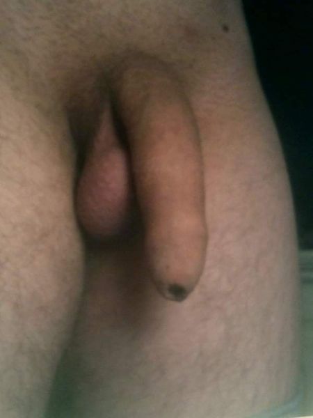 black uncircumcised flaccid penis