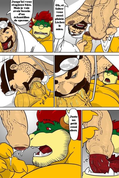 gay bowser sex comic