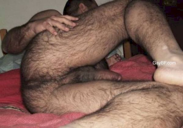 mans hairy asshole close up