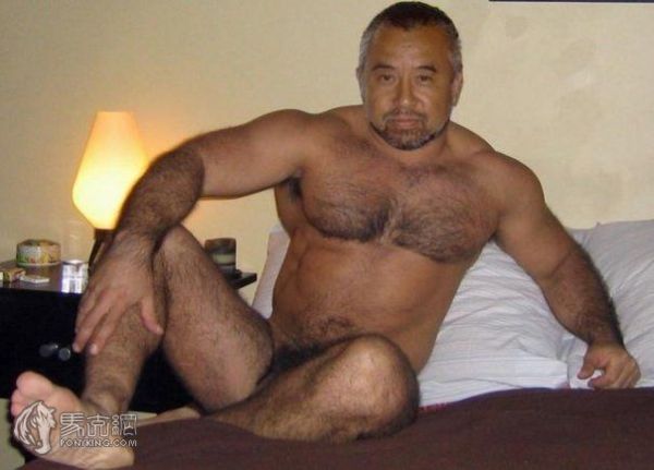 gay hairy bear dad