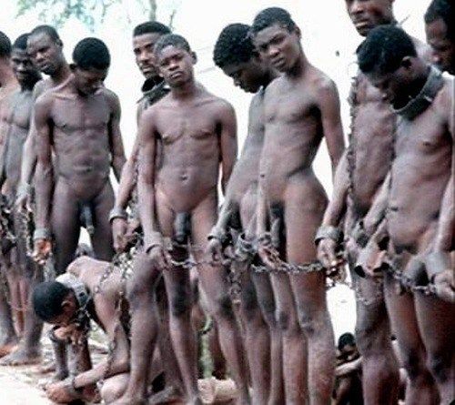 gay male harem slaves