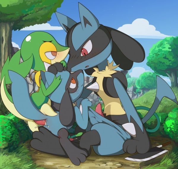 pokemon gay riolu hentai