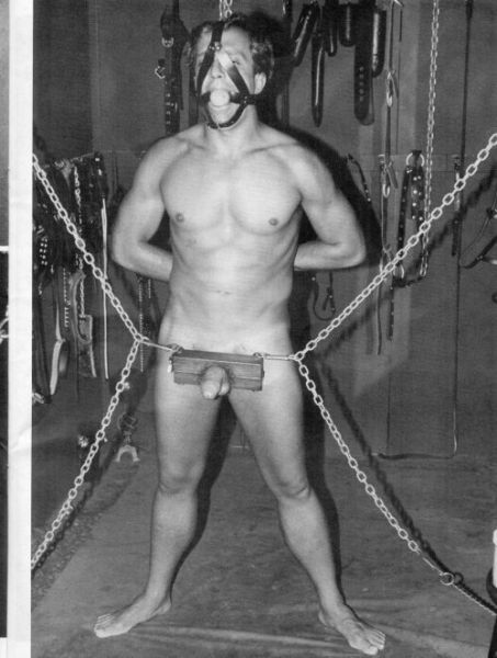 vintage gay bondage ladder