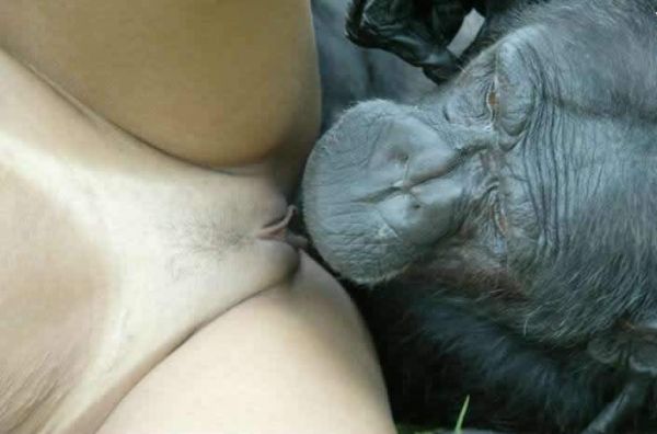 ape fucks woman penetration shown