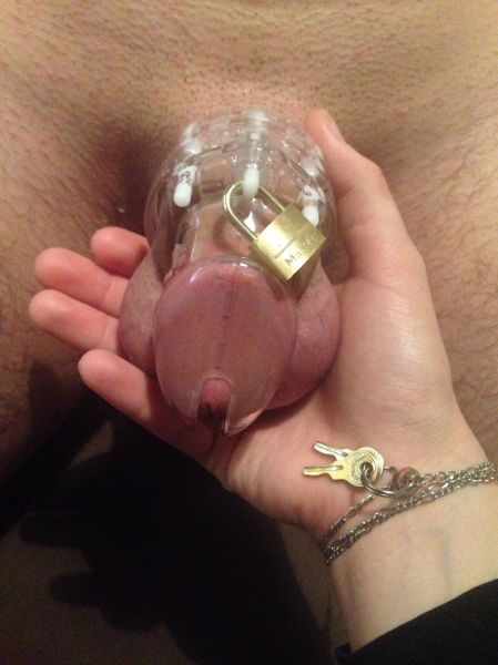 chastity belt vaginal plug
