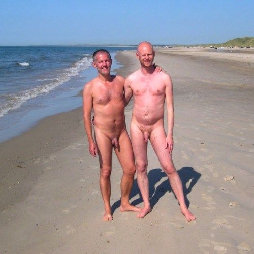 gay beach sex party